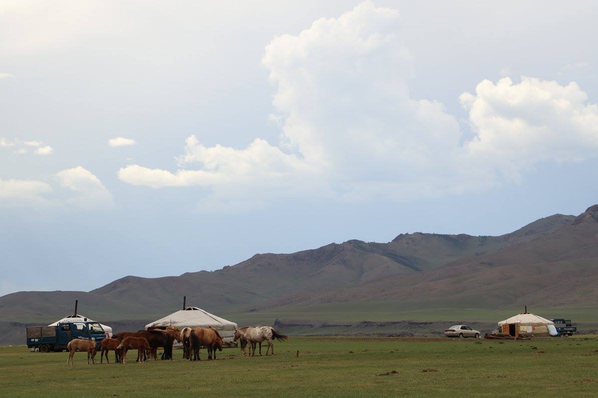 Best time to visit Mongolia | When is the best time for Mongolia