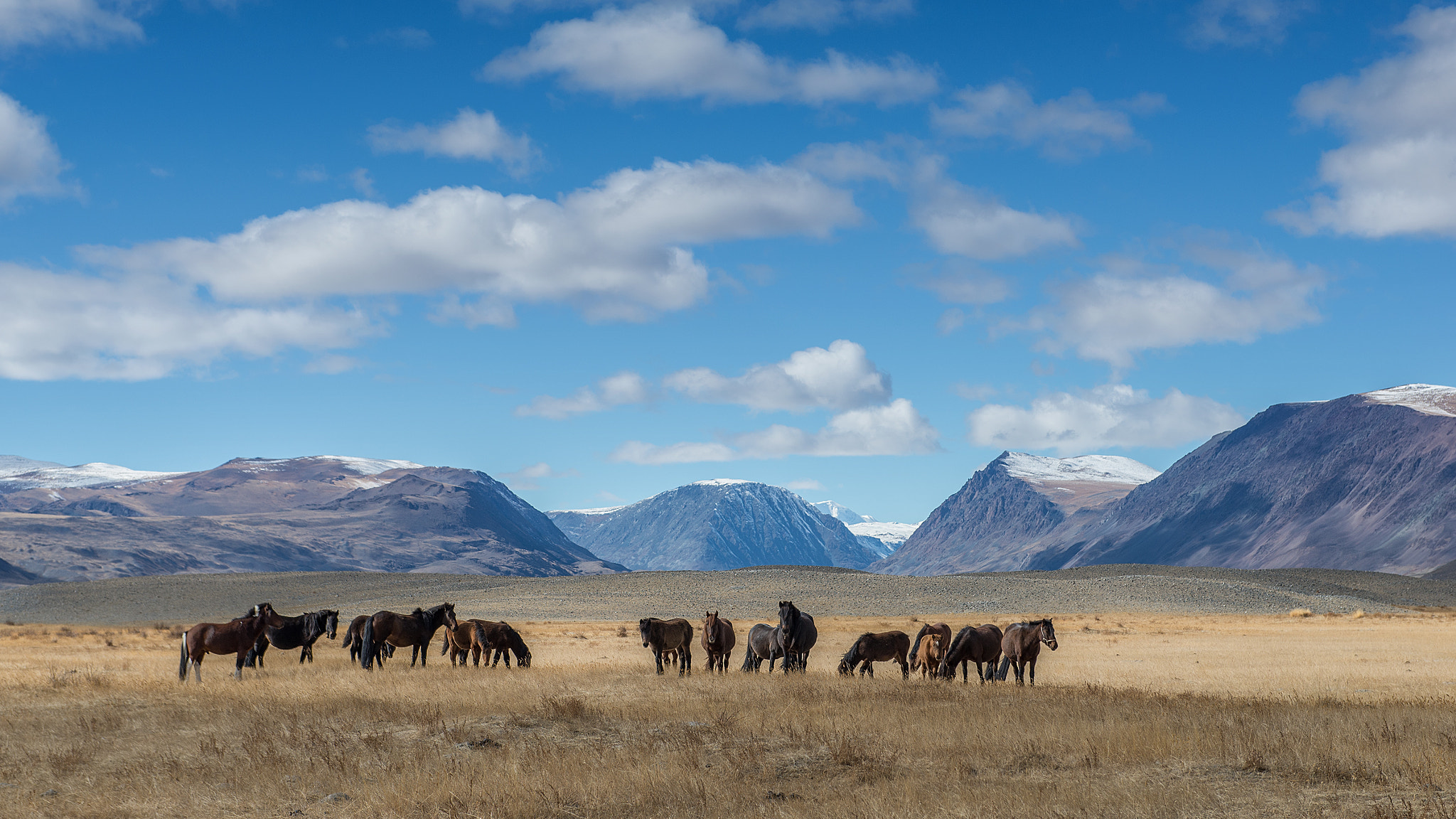 Tolbo Lake In Western Mongolia 